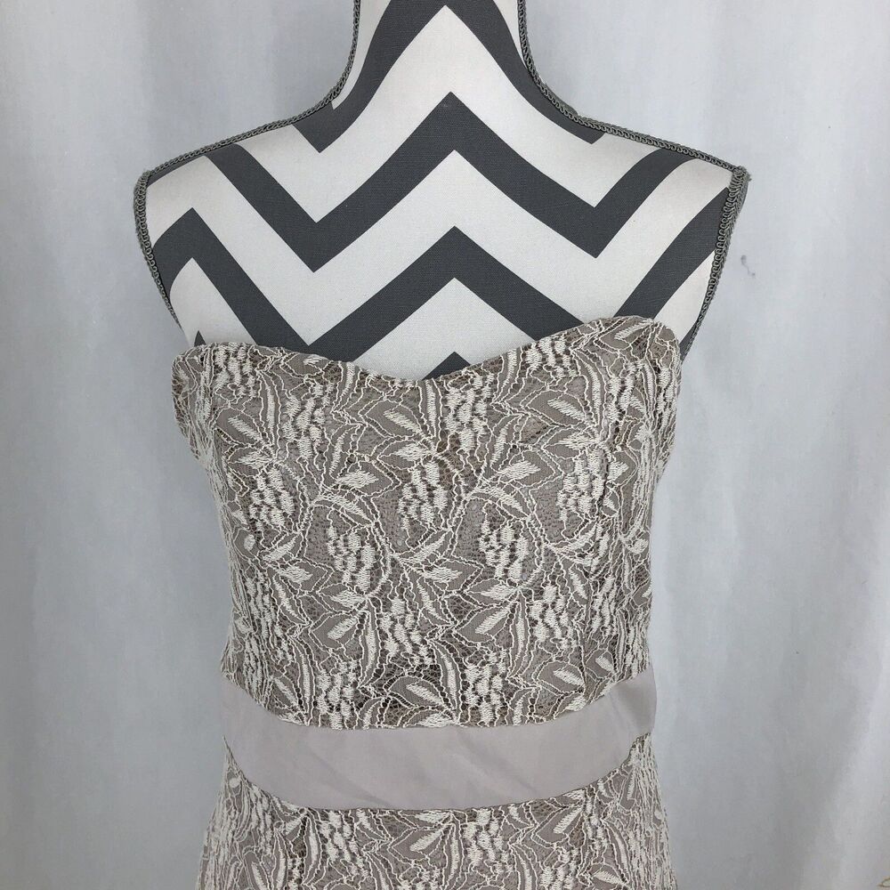Romy Beige Lace Floral Side Zip Lined Strapless Dress Large
